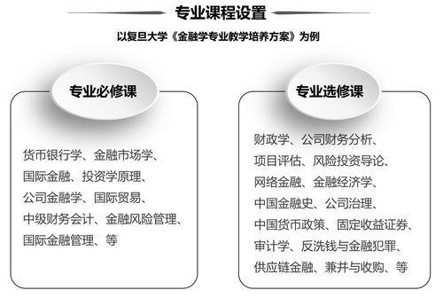 金融領域的璀璨明珠 社會經濟咨詢服務專業