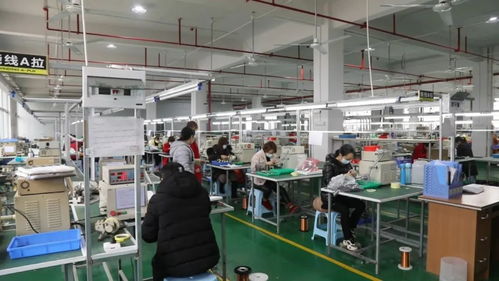 “兩手抓”賦能鶴城速度 工業集中區以優質服務驅動經濟社會高質量發展